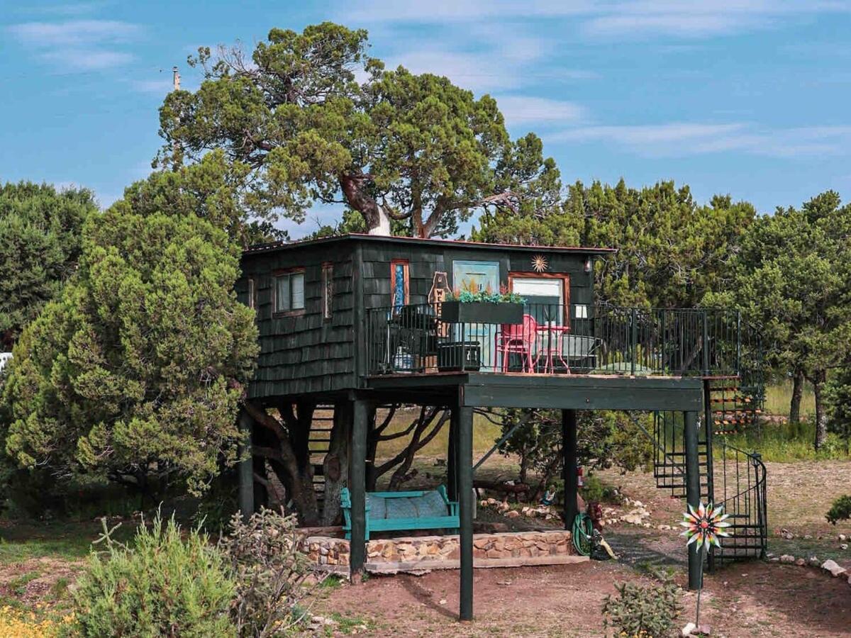 Ashley'S Treehouse At El Mistico Ranch Villa Nogal Kültér fotó